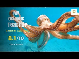 The Octopus That Taught a Man Life’s Greatest Lessons 🐙 | Craig Foster