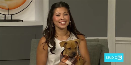 Pet of the Week: Greg Travis from The Haven