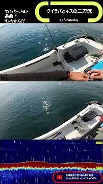 タイラバとキスの二刀流 #タイラバ #高松沖