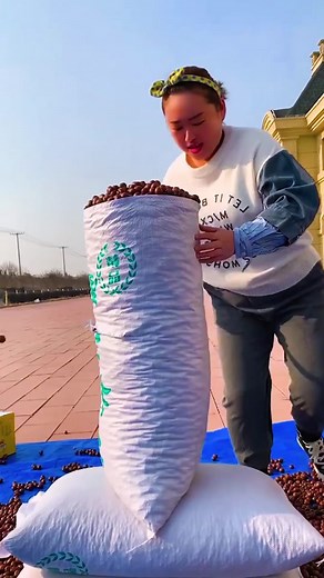 Exploring Fresh Chestnuts in a Large Sack