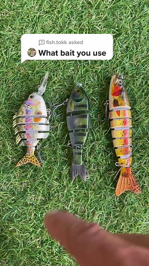 CICADA Fishing Baits and Tips