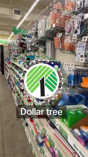 Top Dollar Tree Finds for Smart Shopping