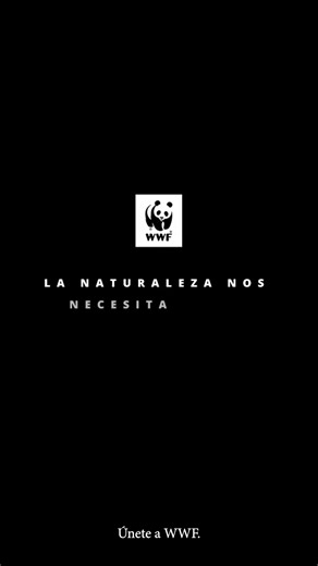 Solo con el apoyo de personas como tú podemos seguir trabajando en restaurar cientos de hectáreas de bosques 🌳 y humedales, miles de hectáreas de fondos marinos de nuestras costas y en salvar de la extinción a especies clave como el lince ibérico 🐱. ¿Te unes a la defensa de la Naturaleza 🐼? | WWF España