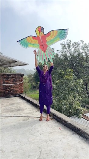 Patang chiku ko nahi mila tabhi 😱🪁 #shorts #ytshorts #kite #makarsankranti