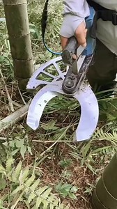 1.4M views · 2.4K reactions | Bamboo cutting machine Amazing Views | Top Views tv | Facebook