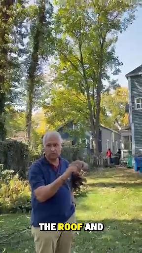 Another successful project for one of our valued repeat customers ✅ They trusted KD Tree Service before, and once again, we delivered safe, fast, and professional results. We’re proud to provide reliable service that keeps homeowners coming back. #KDTreeService #TreeCare #TreeRemoval #TreeTrimming #TreeWork #Arborist #ProfessionalTreeService | KD Tree Service Albany NY