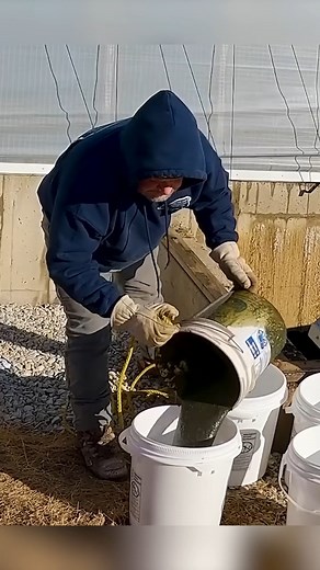 A future message to the UPS man 😂💩 #manure #farmlife #farmer | This'll Do Farm
