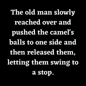 funny stories - jokes | Arts and Humor