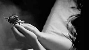 TWILIGHT Lyrics - MELODY GARDOT | eLyrics.net