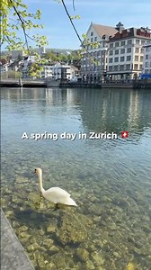 Postcards from a perfect day in Zurich, Switzerland🇨🇭