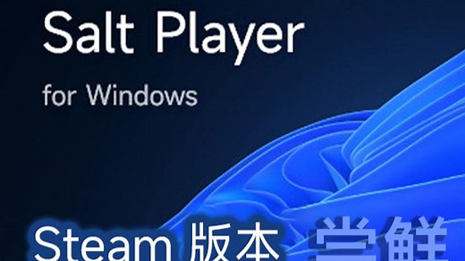 Salt Player For Windows Steam版本上手