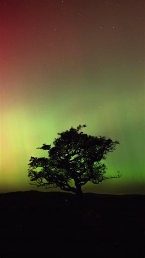 Gorgeous landscape of Yorkshire Dales under spectacular weather, including rare northern lights display. Flying above the clouds, misty valleys, roaring waterfalls, and stunning sunrises and sunsets. Watch the full video on YouTube 👇 https://www.youtube.com/watch?v=_v6S1f4bqzo 🎥 Awhelin Photography #Yorkshiredales | Yorkshire Dales National Park