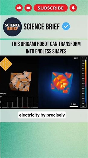 Origami Robot That Transforms Into Endless Shapes!!