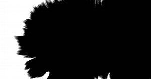 Ink transition animation. Liquid spread, smooth diffusion, black ink morphing, organic flow, cinematic blending, seamless movement, soft edges, artistic ink effect, fluid animation.