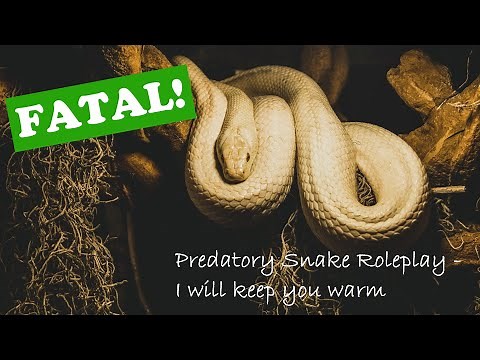 ASMR **V** Predatory Snake Roleplay - I will keep you warm[REQUESTED]
