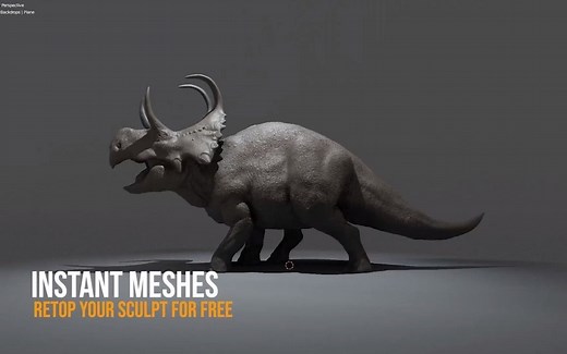 免费的重拓扑软件 支持画线导流等功能 Instant meshes - Free retopology solution