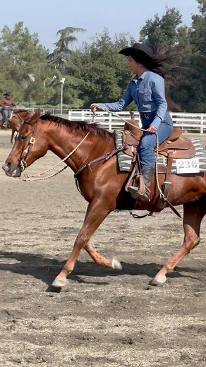 actually this WAS my first rodeo (horse show) 😅 big thanks to Kerri Mckay Quarter Horses for the confidence and trust with her gorgeous pony!!! #horsegirl #horseshow #NewBeginnings | Jeni Ni