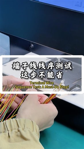 端子线线序测试这步不能省，一步都不能少！