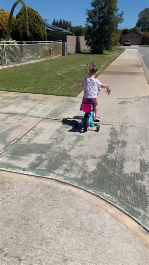 Lovely day for a visit to the park again with Miss Ellie, little baby ducks and birds nesting everywhere, Spring is so wonderful, such a glorious time of year. I also realised I had forgotten Ellie’s helmet but she is very good and listens to safety reasoning so was lucky. | Robyn Buchanan