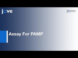 Pathogen-Associated Molecular Pattern (PAMP)-Triggered Immunity (PTI): Plants l Protocol Preview