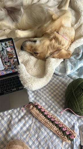 Lilli | bookstagram ✨ on Instagram: "What I read in January #januaryreads #readingwrapup #read #romancebooks #queerbooks"