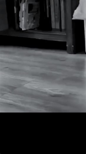 فيديوهات أنشأها ↟🥀هـᩧ꯭ـدوء🕊ـ💔⍣ٱلـᩧ꯭يـل🥀↡ (@jdbkdjv) باستخدام الصوت الأصلي - ↟🥀هـᩧ꯭ـدوء🕊ـ💔⍣ٱلـᩧ꯭يـل🥀↡