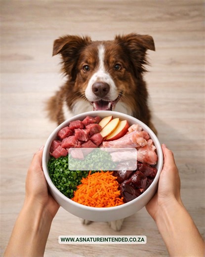 🐾 Raw Feeding for Dogs: A Beginner’s Guide for New Pet Parents 🐾 New pet parent and curious about raw dog food? That’s okay! Starting a raw feeding journey can feel overwhelming, but with the right information, it’s easier than you think — and we’re here to help 😊 Knowing the do’s and don’ts of raw feeding is essential to keep your dog safe, healthy, and to avoid unnecessary vet visits and stress. ✨ How much raw food to feed your dog: Raw feeding is calculated by body weight. • Puppies under 