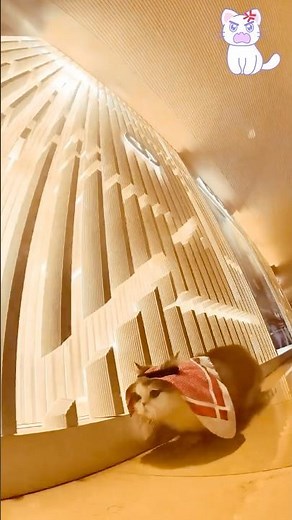 Tibby's Mall Adventure: Solo Cat Explorer Goes Shopping! 🛍️😹