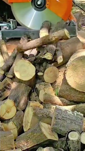 Worker Cuts Logs Using Circular Saw Machine