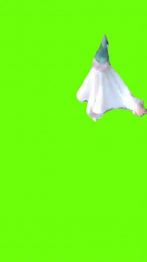 Flying Gnome Meme Compilation | Greenscreen Videos