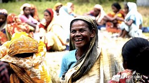 More than just tasty teas. Learn about our co-op that provides the...