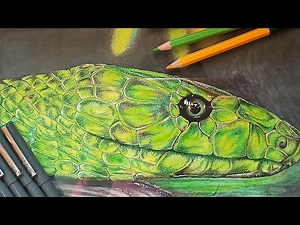 How to draw a realistic green snake 🐍
