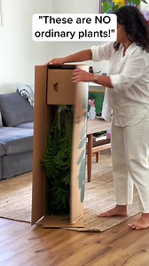 2.2K views · 5.1K reactions | Transform your space with easyplant's self-watering plants! 華 These low-maintenance beauties make it easy to bring a touch of nature indoors, even if you don't have the greenest thumb.  Just fill the water reservoir once a month, and watch them thrive!  | easyplant | Facebook