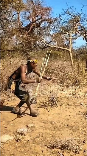 Bushman’s Silent Arrow | Real African Hunt Scene.#shortvideo #wildlife