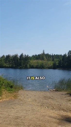 vancouver island free camp part 3 #shorts