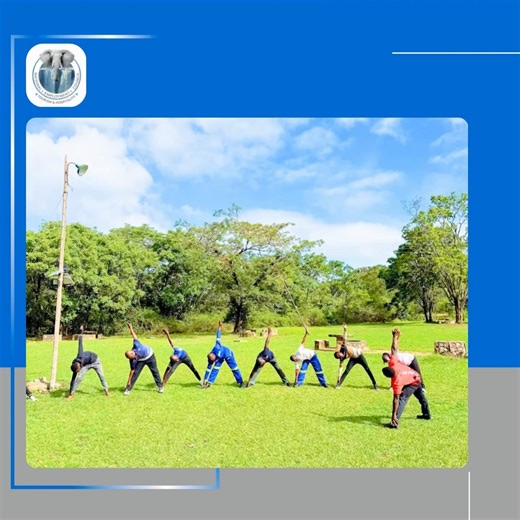 Our Designated Agent successfully held a Wellness Day for employees at the National Museums and Monuments of Zimbabwe. At NEC Tourism and Hospitality, we prioritize wellness and mental health in the workplace, as we believe that a happy and healthy employee is a productive one because when staff feel good, great work naturally flows 😊 | NEC Tourism Industry