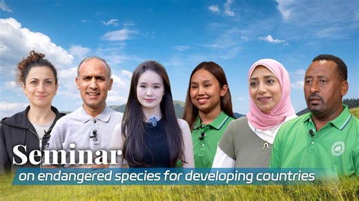 China's ecological conservation in the eyes of foreigners