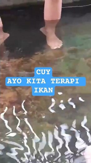 Free Saradan Fish Therapy in Sragen | Because of Him | Short | 002854