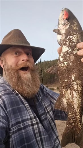 Not bad for an hour of fishing. Northern Pike and three rainbows, one of which was the biggest damn rainbow trout I've ever seen in my life. Colorado rocks. | Dan Johnson Music