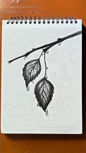 After the Rain 💧🌿 #shorts #art #drawing