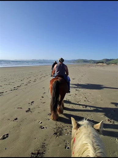 Horseback Riding on the Beach in Morro Bay, California