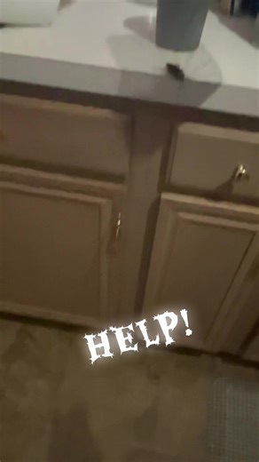 I did not think my kitchen was that messy!!!😭😭😭