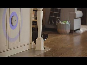 Training Your Pet With Invisible Fence Indoor Shields