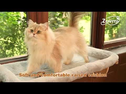 🐱Finally, a Window Perch That Actually Fits Your Giant Cat (and Their Siblings!)