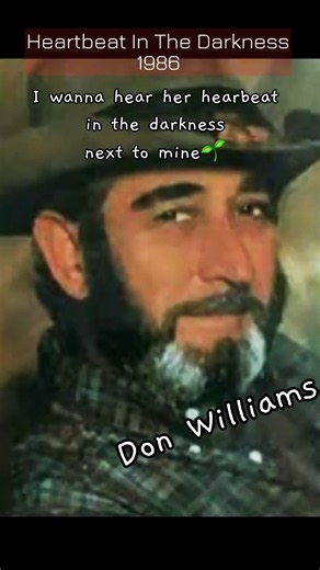 ❤️Heartbeat in the Darkness❤️ #donwilliamssongs