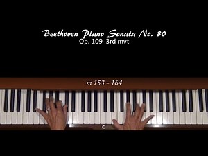 Beethoven Sonata Op. 109 3rd mvt Piano Tutorial Part 4