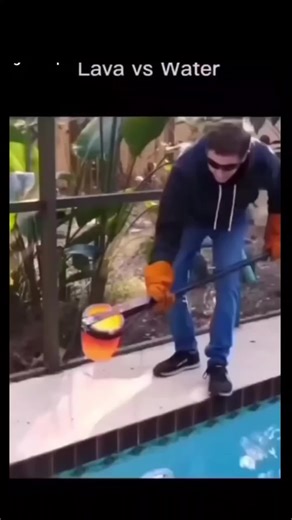 Exploring the Journey of David Franks