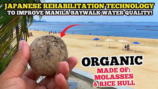 14K views · 1.2K reactions | Japanese Rehabilitation Technology "BOKASHI BALLS" to improve water quality in Manila Baywalk. A bokashi ball, also known as “mabuhay ball,” is a Japanese rehabilitation technology made up of all-organic materials, such as garden soil, molasses, and rice hull. It has an effective microorganism solution that breaks down toxins and consumes bad bacteria in the water. | Engr. berto | Facebook