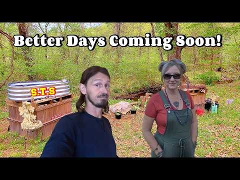WHEN DID WE GET TO THIS POINT? | work, couple builds, tiny house, homesteading, off-grid |