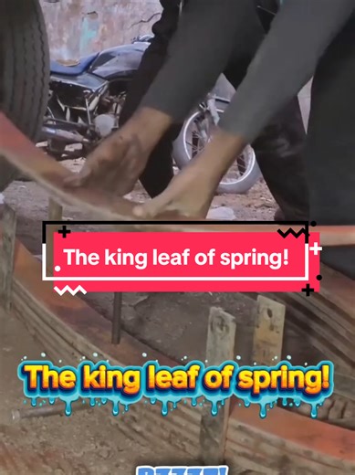 The Majestic Leaf of Spring in Pakistan